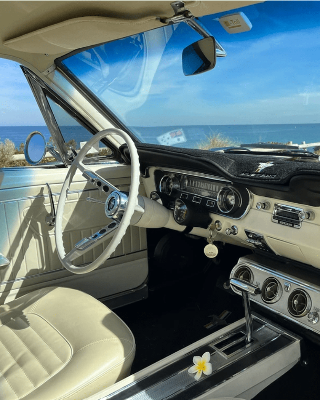 Oceasn Car Home
