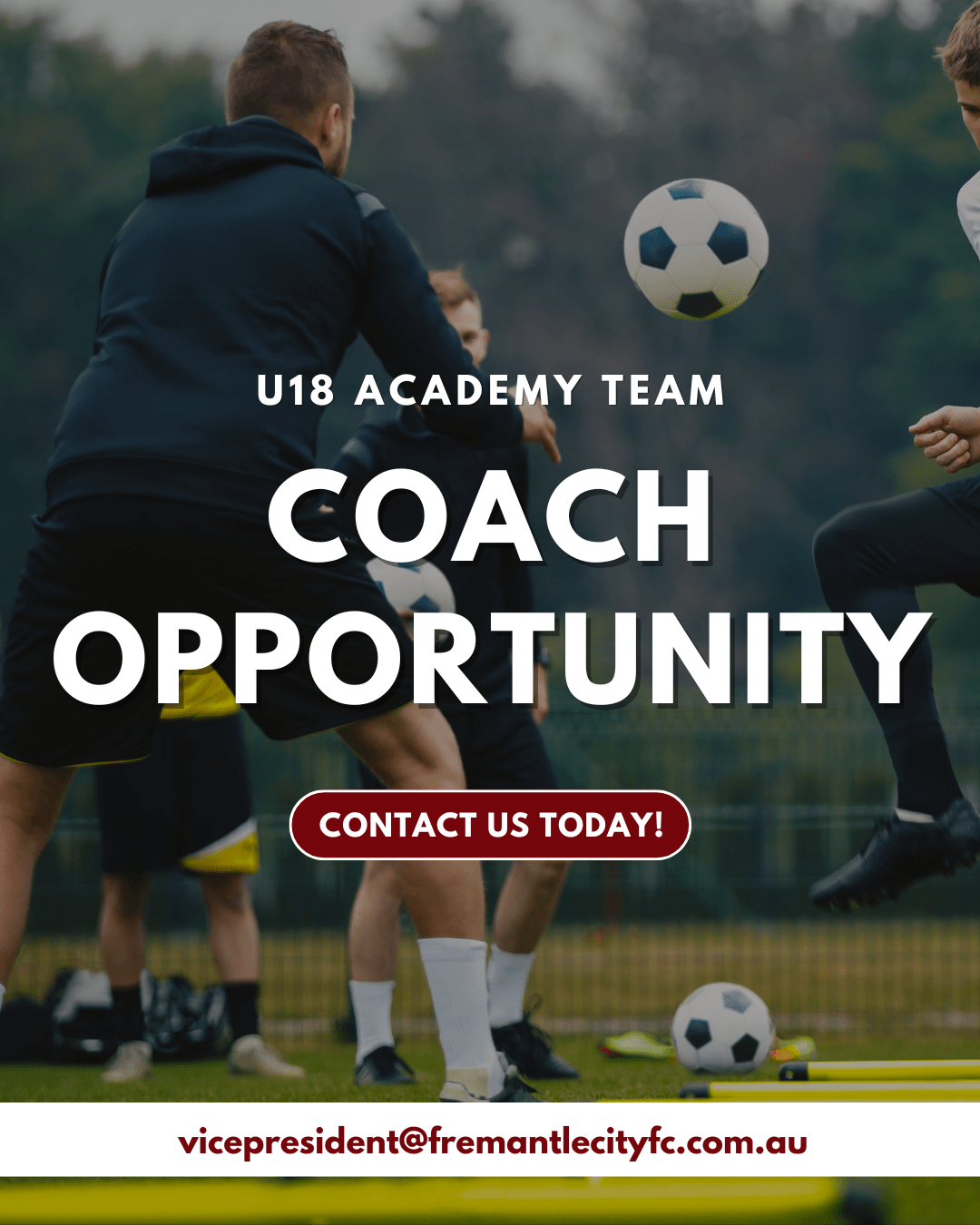 fcfc coach