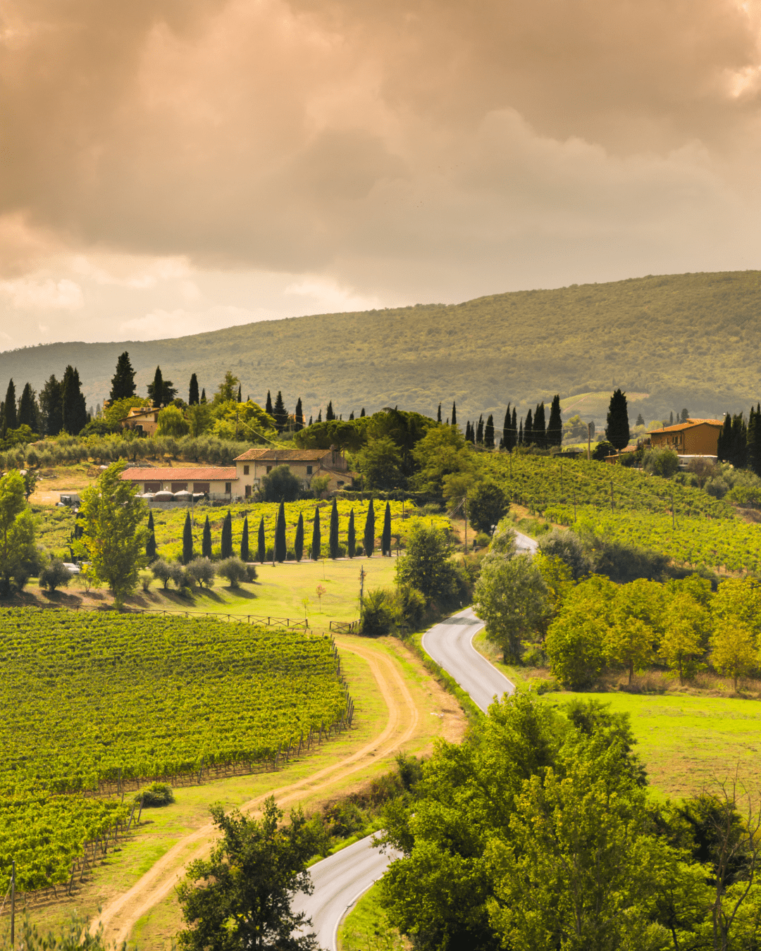 italy_1